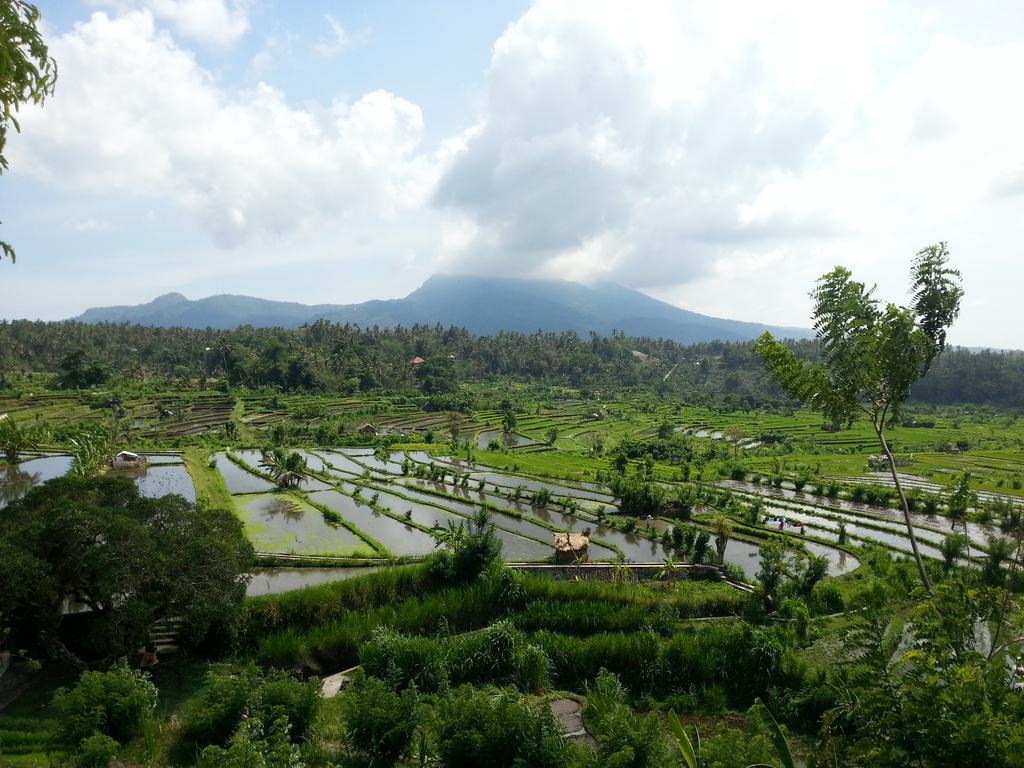 Tudes Homestay 아메드 외부 사진