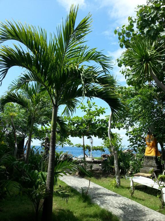 Tudes Homestay 아메드 외부 사진